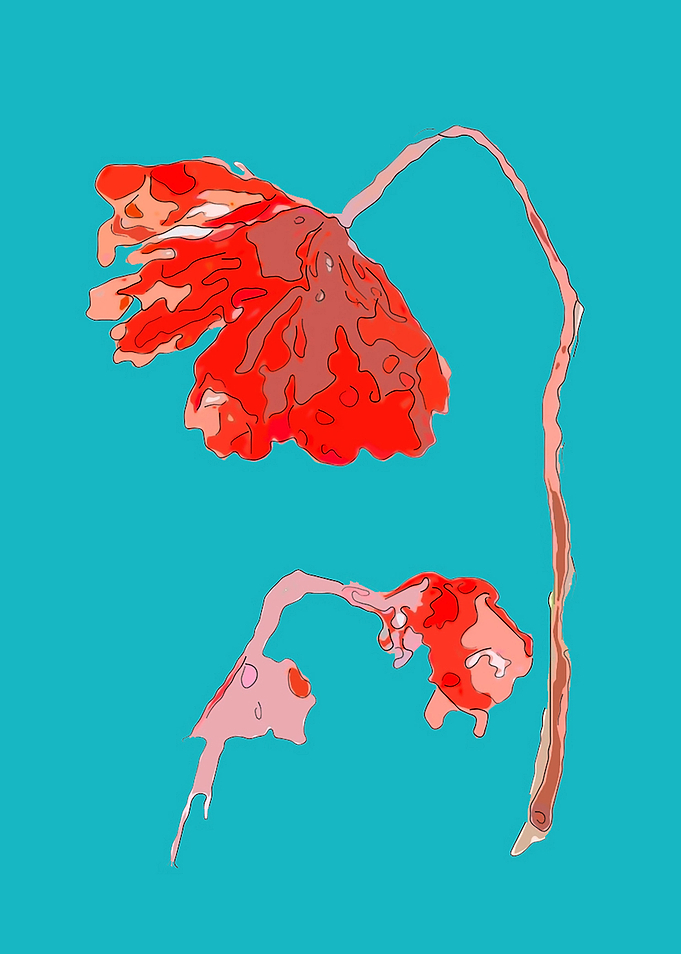 Poppy
