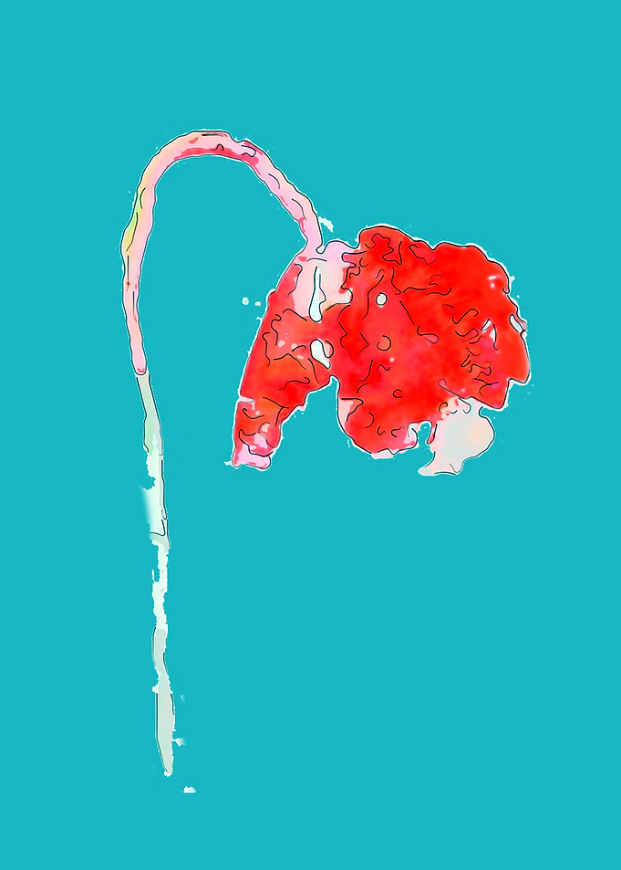 Poppy