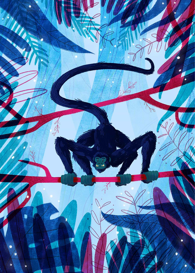 SpiderMonkey