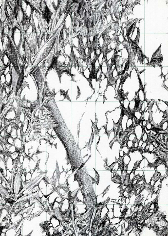 49 steps tree drawing pA4