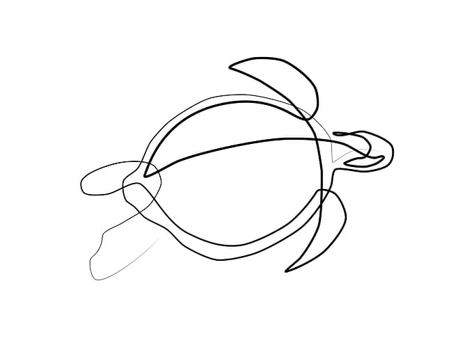 One Line Aquatic Turtle