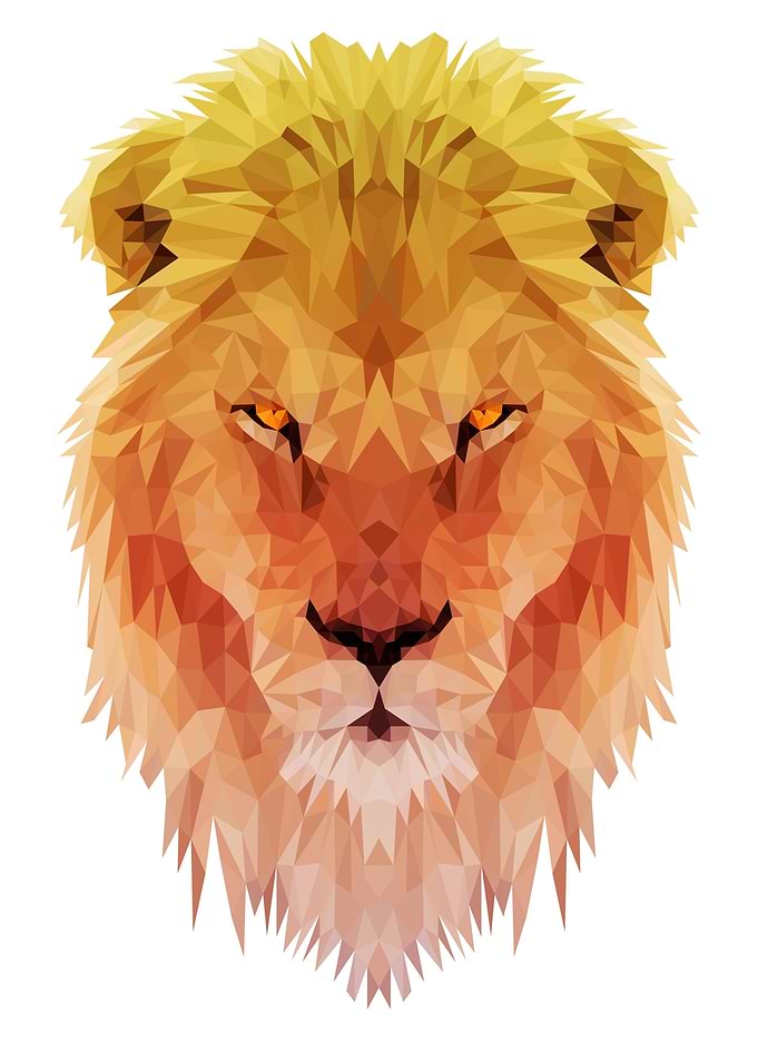 Red Orange Lion
