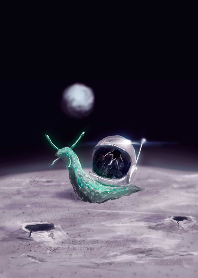 Snail Space