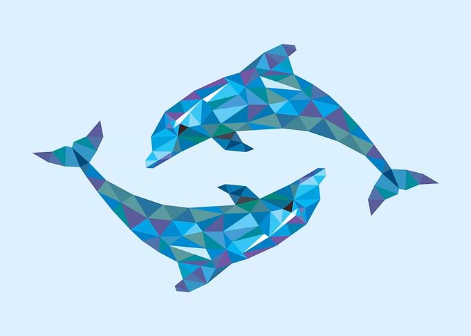 Dolphin Ocean Blue