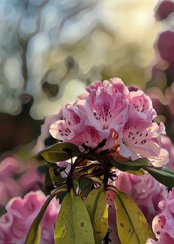 Summer flower art