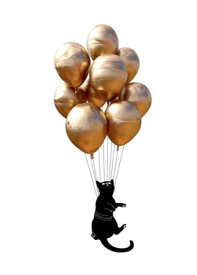 Golden Fly