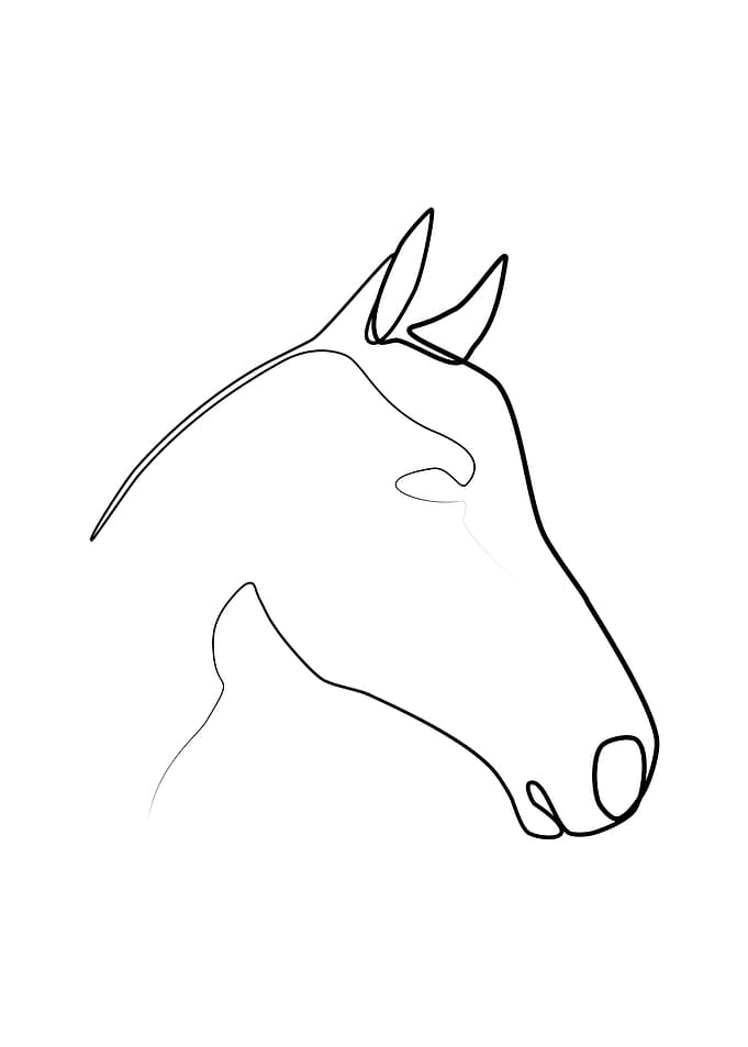 One line horse