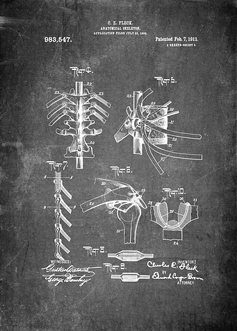 Sceleton Patent Art
