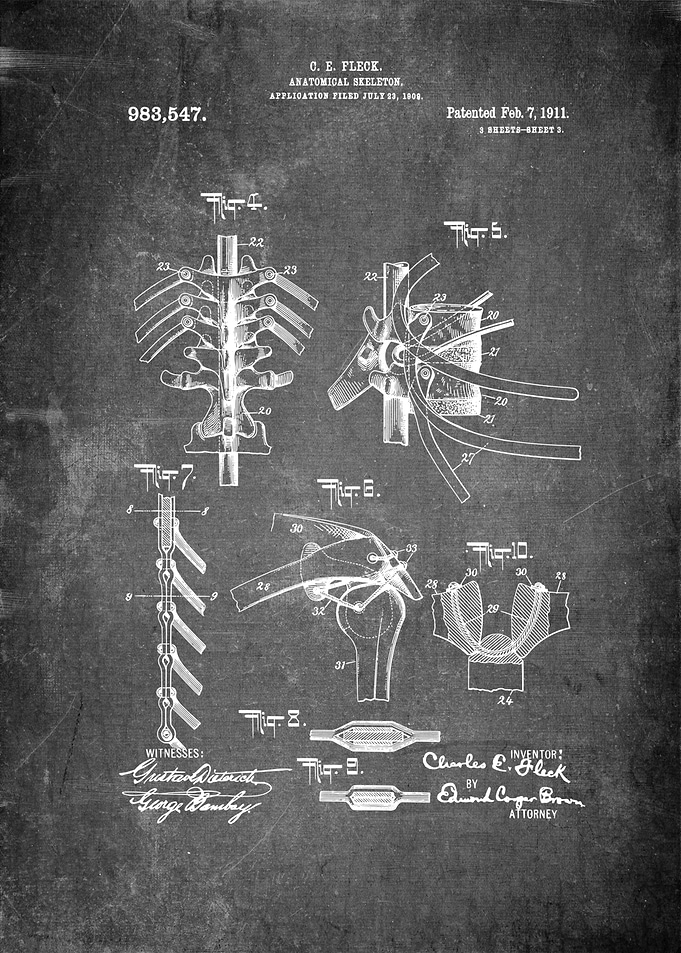 Sceleton Patent Art