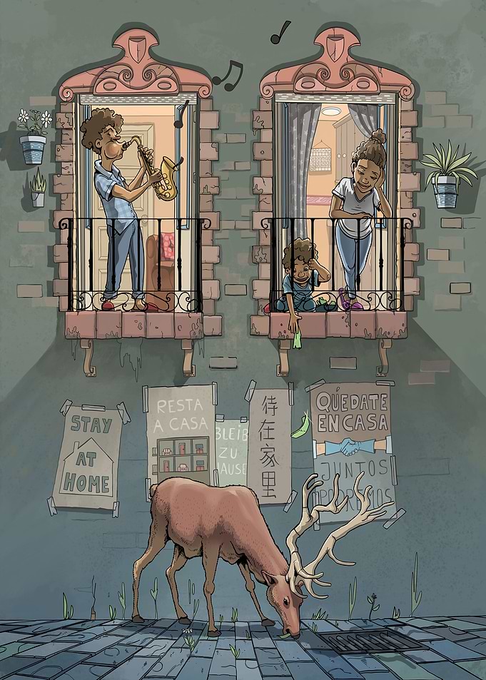 Stay at home