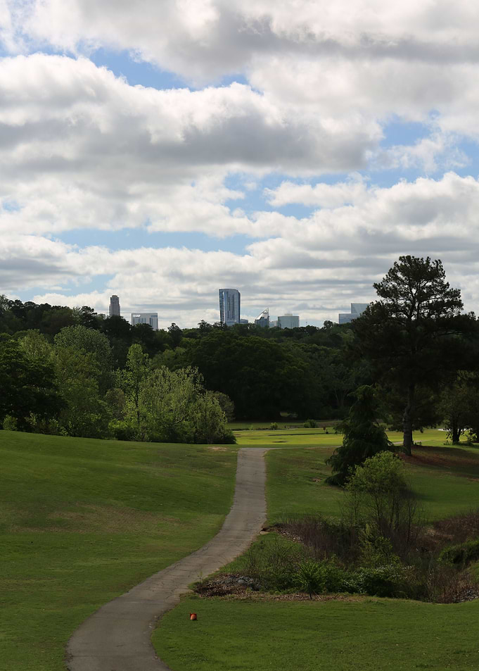 Landscape Chastain Park