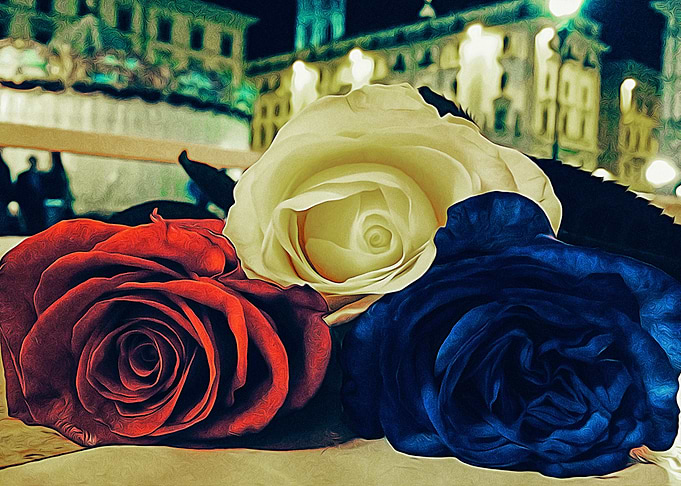 Bouquet of roses