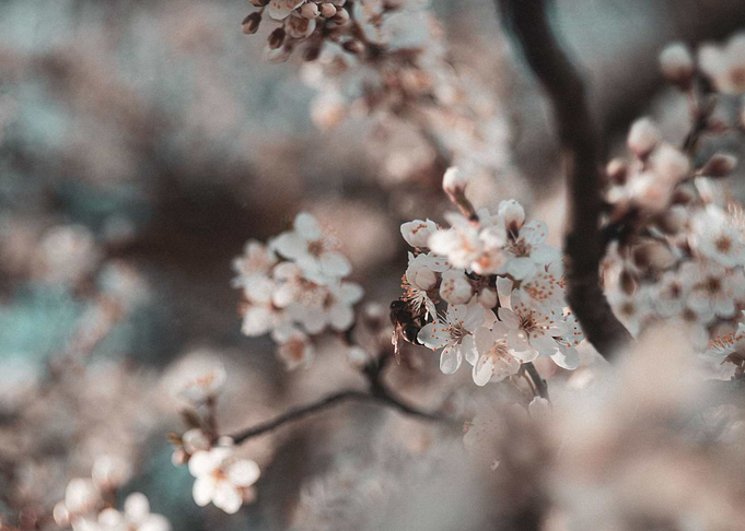 Small nature world