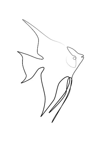 Angelfish One Line Art