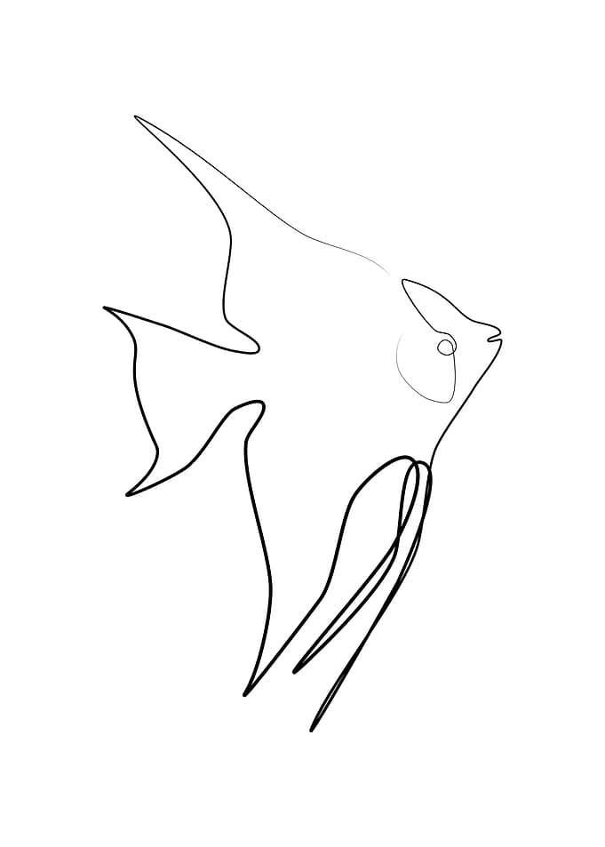 Angelfish One Line Art