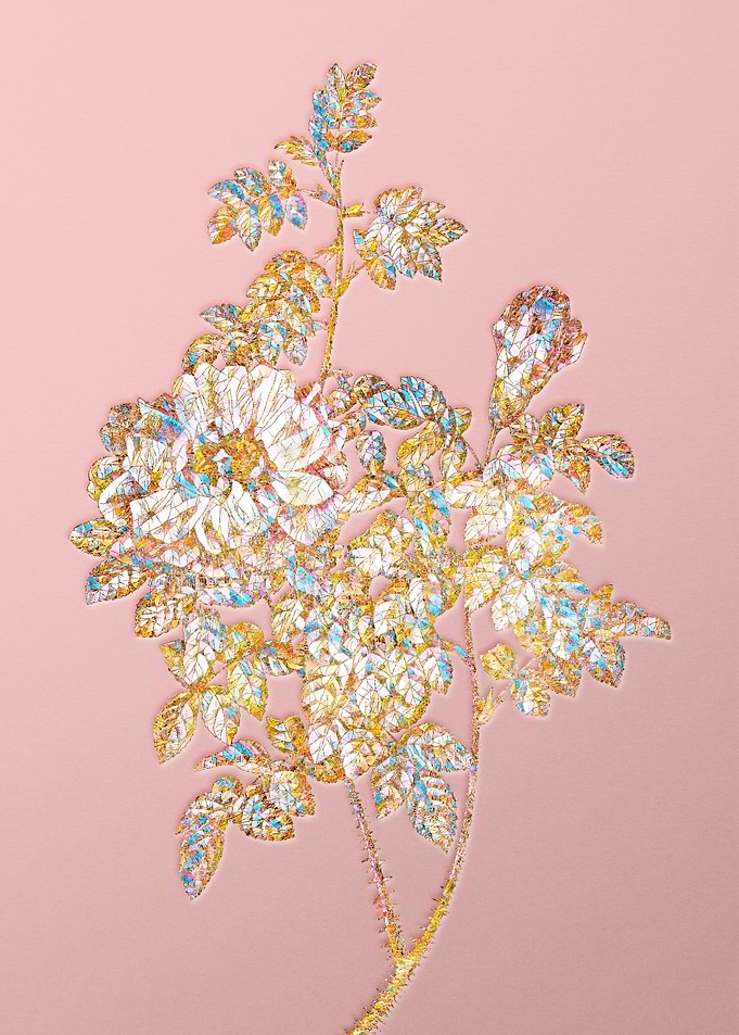 Pink Crystal Rose Flower