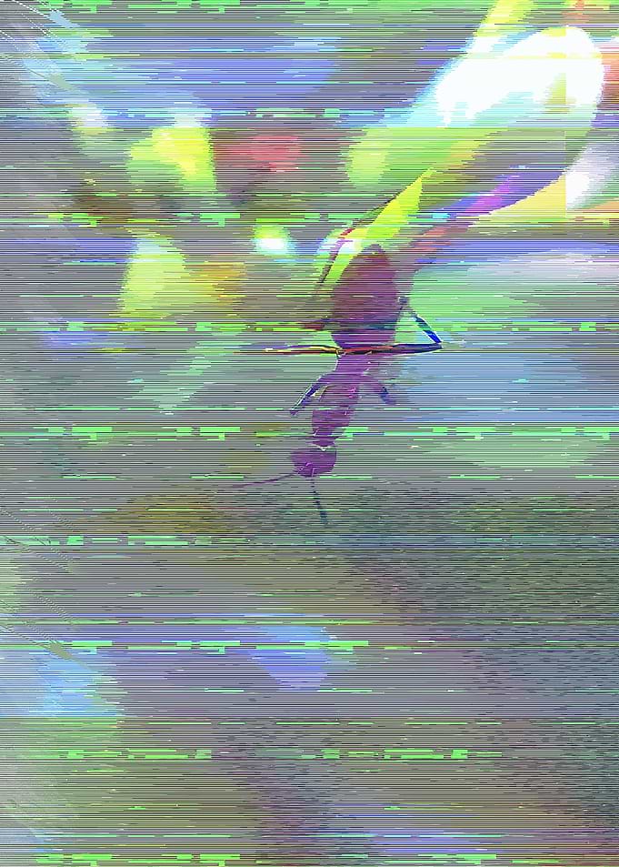 ant