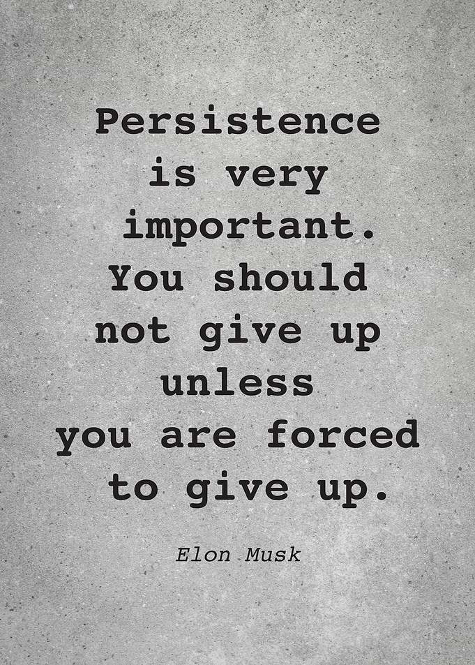 Elon Musk Quote L018