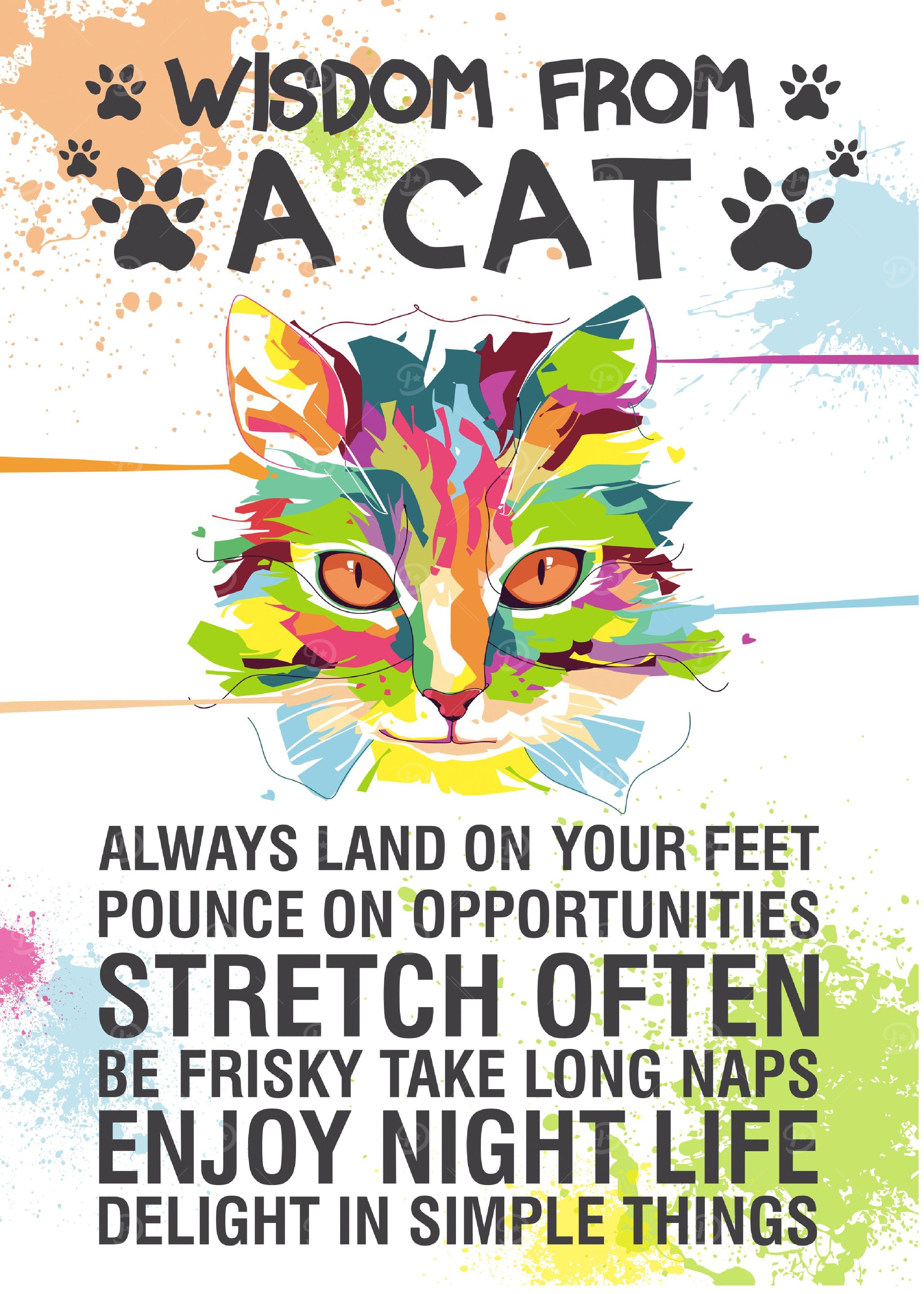 Wisdom form a Cat
