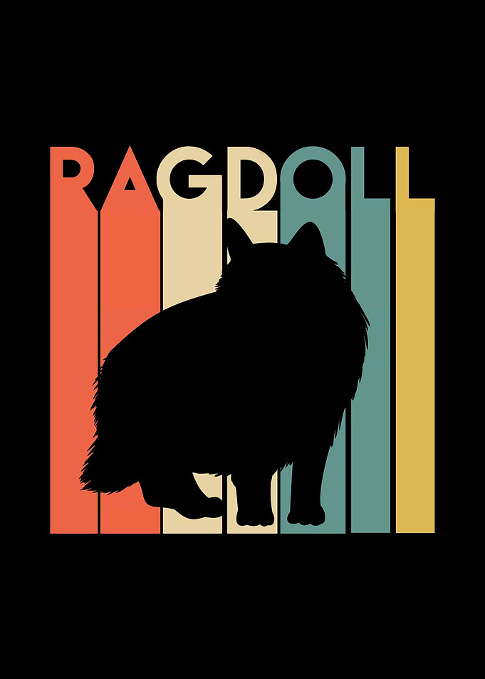 Retro Ragdoll Cat