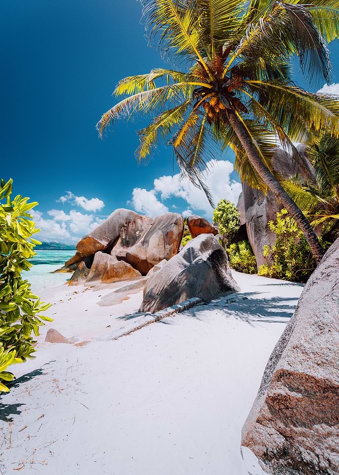 Footpath To Tropical Beach