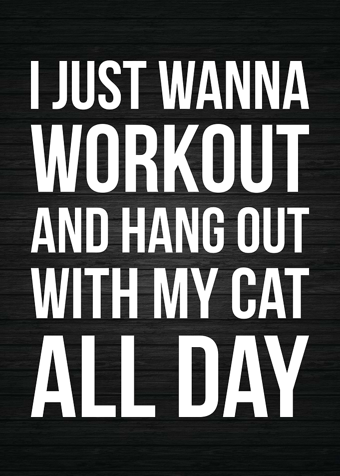 Workout And Hang With Cat
