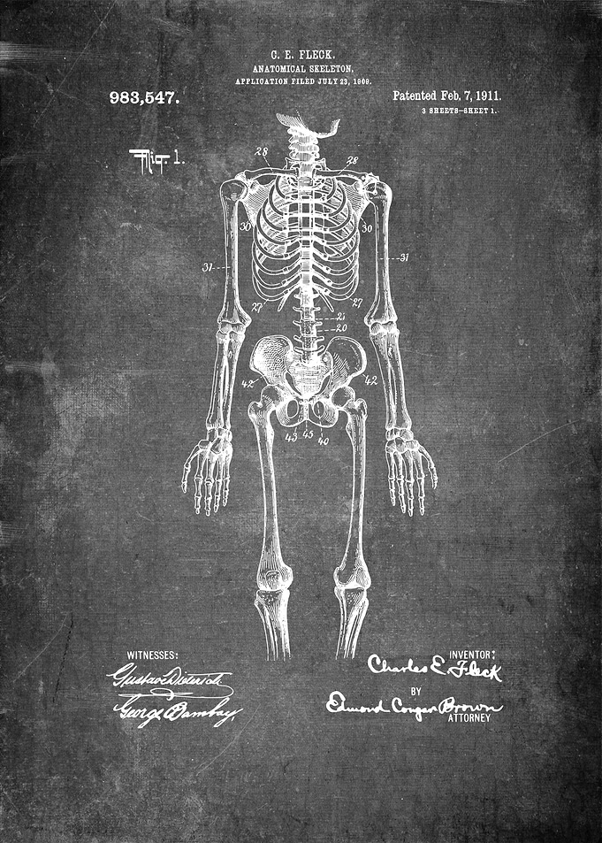 Human Sceleton Patent Art