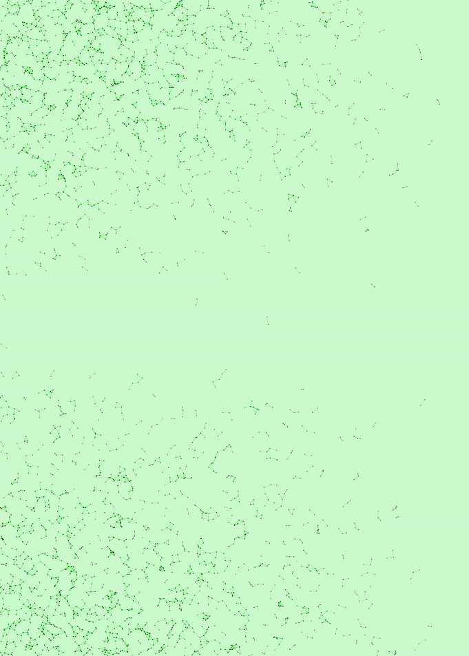Network Mesh