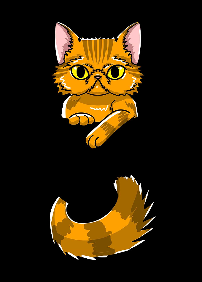 Pocket Persian