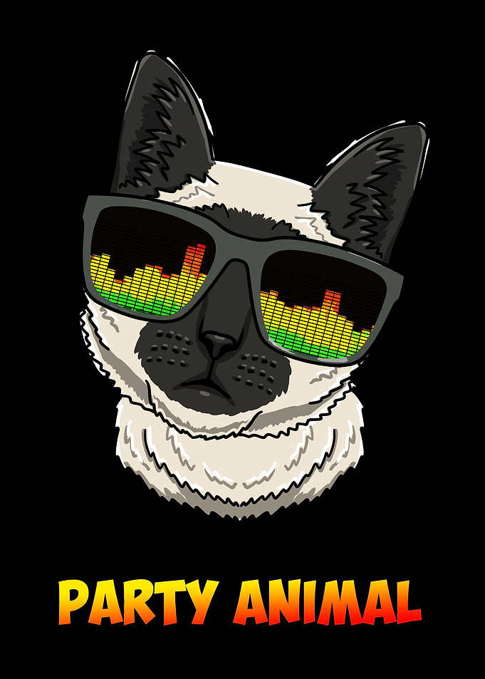 Party DJ Siamese