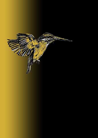 Flight