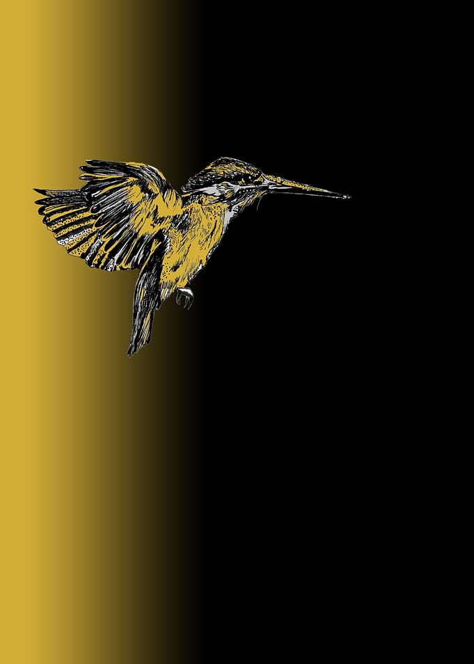 Flight