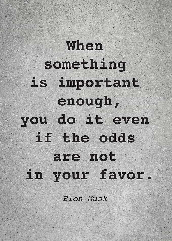 Elon Musk Quote L002