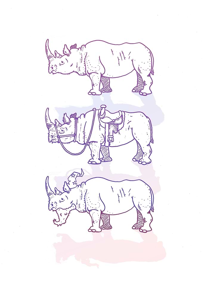 Rhinoceros Journey