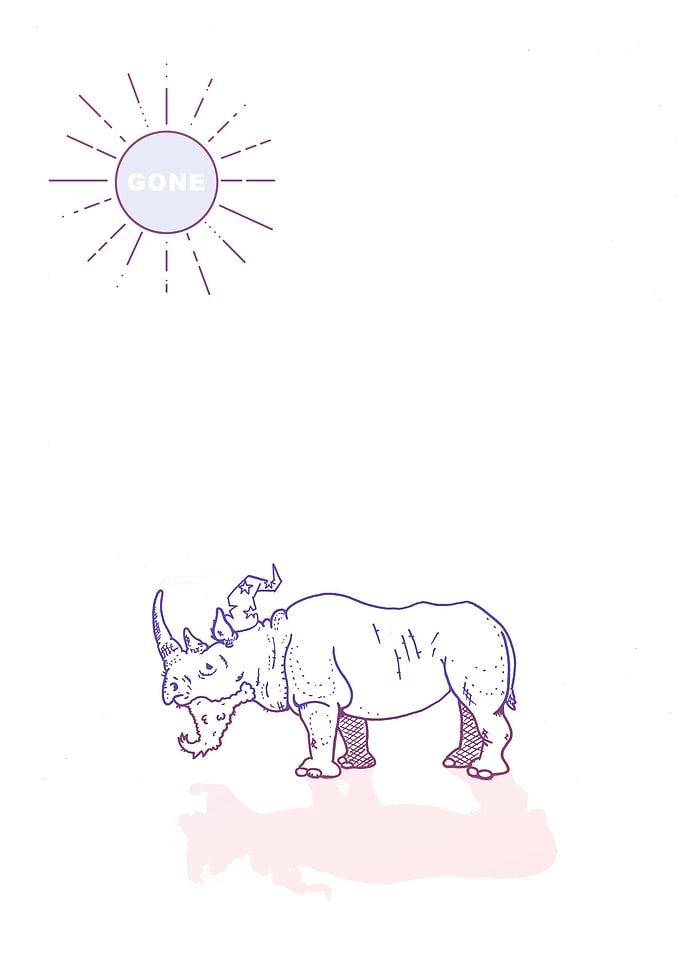 Rhino wizard