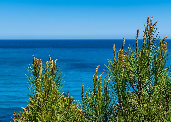 sea view summer