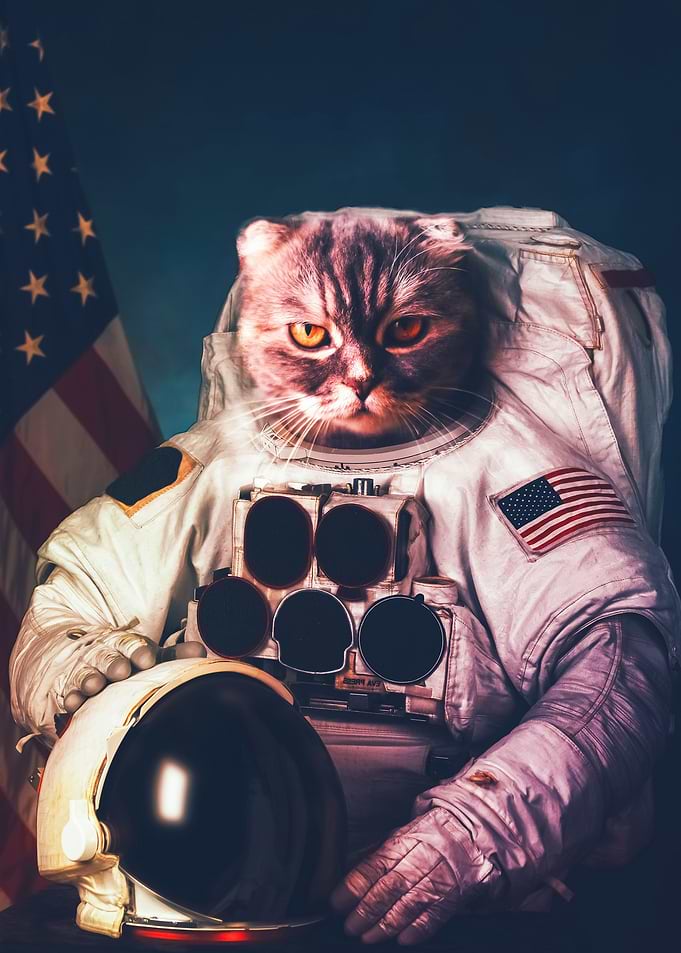 Cat Astronaut with flag