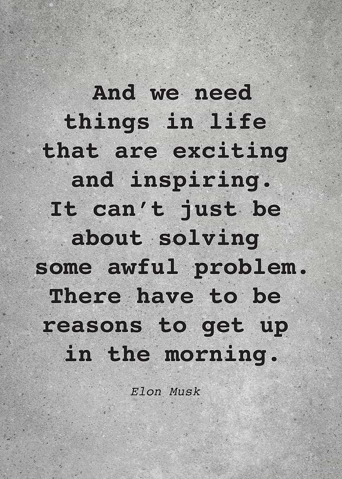 Elon Musk Quote L029