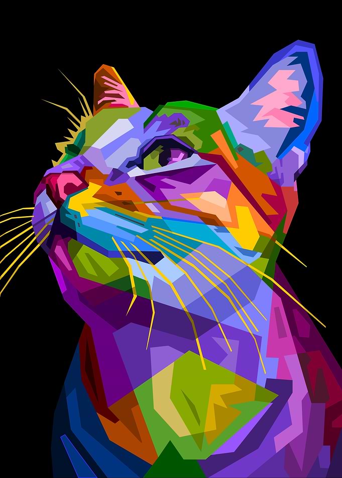 colorful cat on pop art