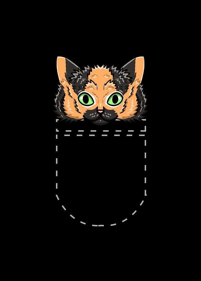 Pocket Calico