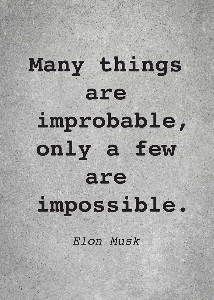 Elon Musk Quote L005