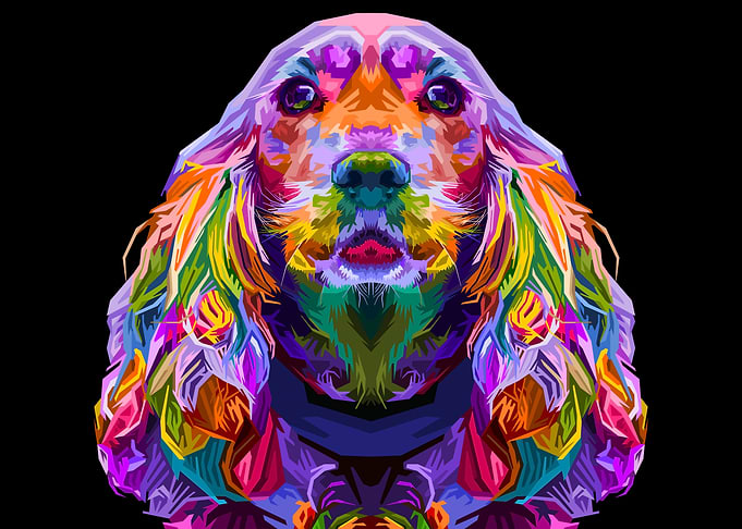 English Cocker Spaniel dog