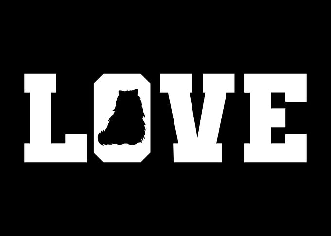 Love Typography Persian