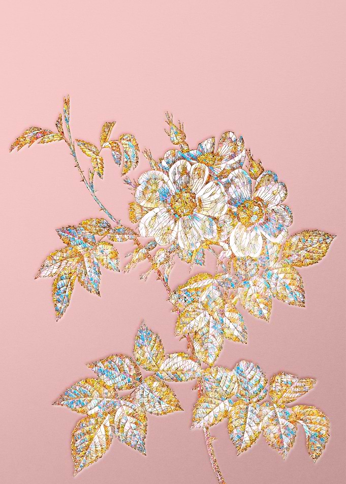 Pink Crystal Rose Flower