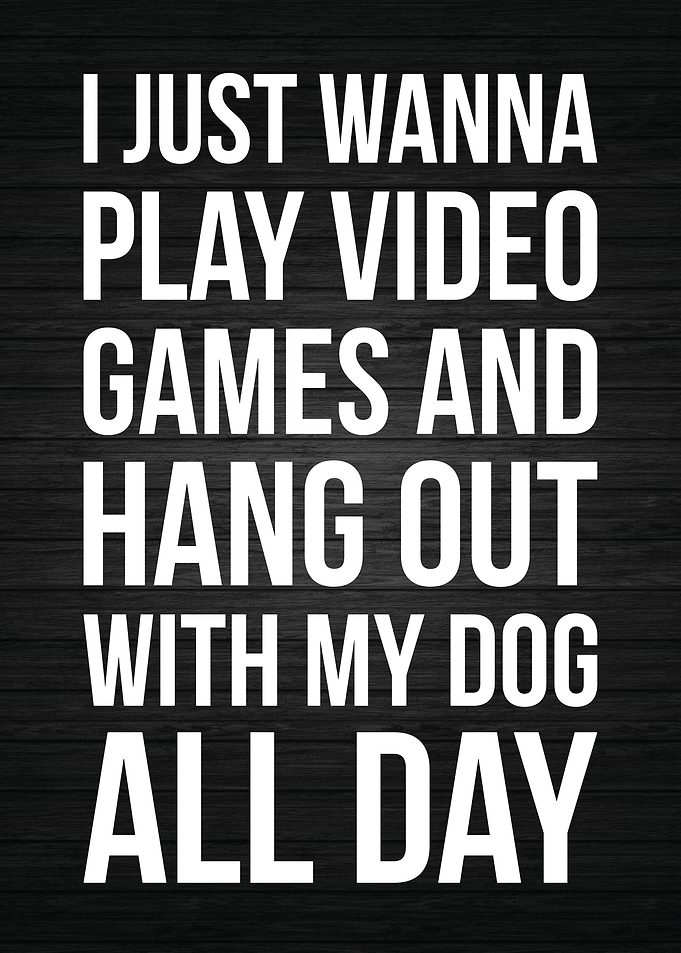 Video Games and Dogs