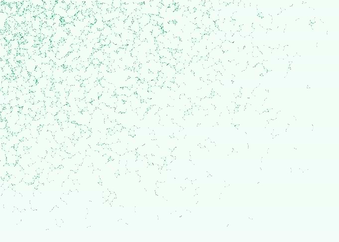 Network Mesh