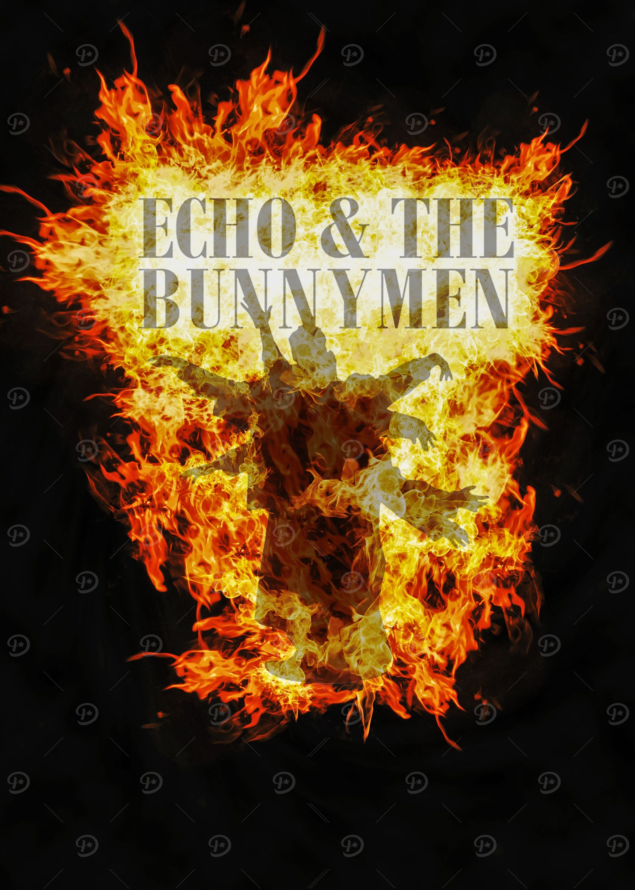 Echo The Bunnymen