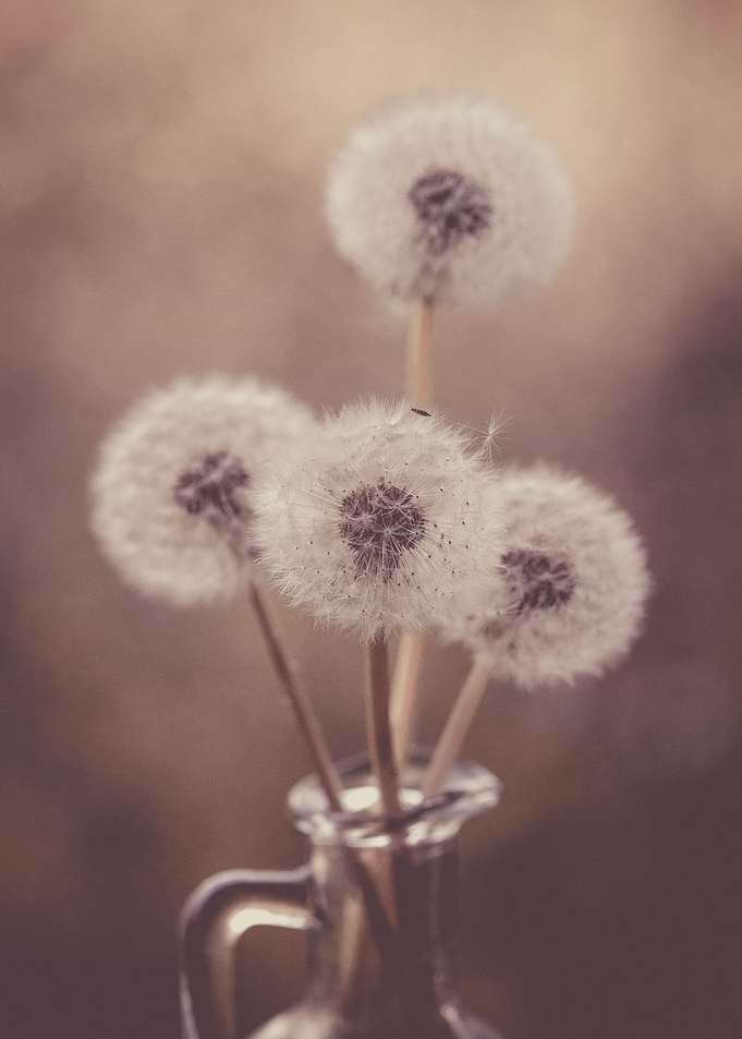 Floral composition