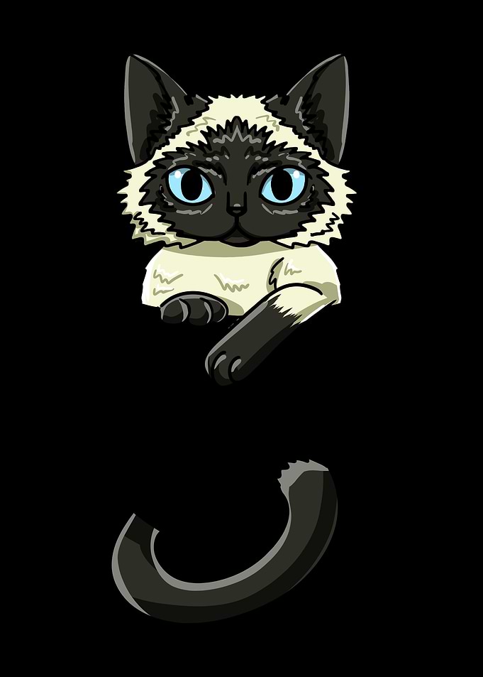 Pocket Siamese