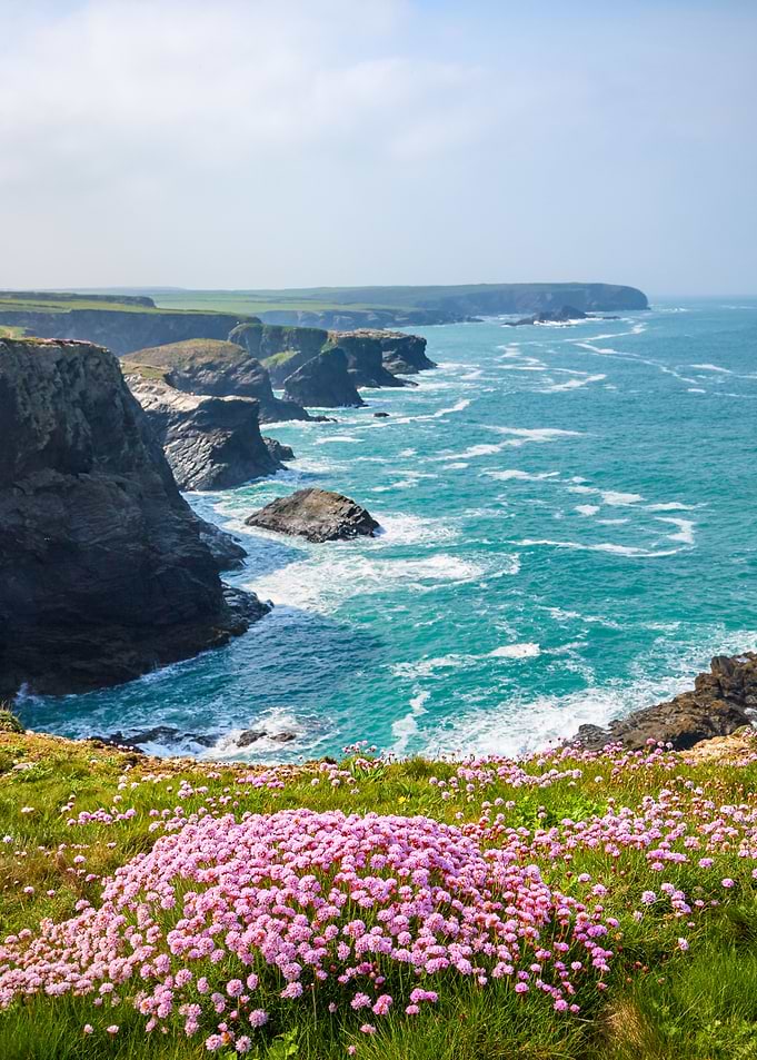 Spring on Cornwalls coast